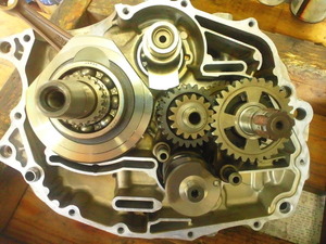 TS3S1585