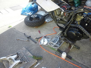 TS3S1480