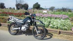 TS3S1589