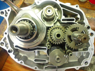 TS3S1488