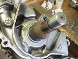 be491a80.jpg