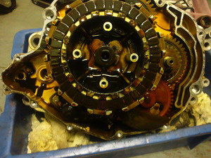 TS3S1576