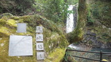 e982105d.jpg