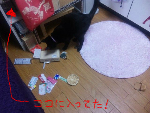 BlogPaint