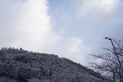 DSC00059