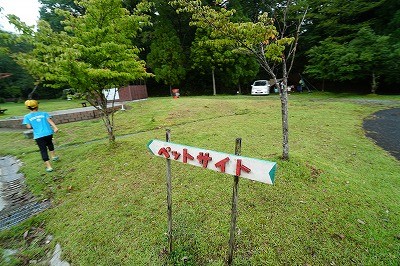 DSC06331