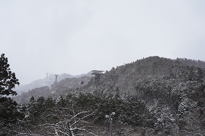 DSC00185
