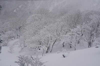 DSC00090