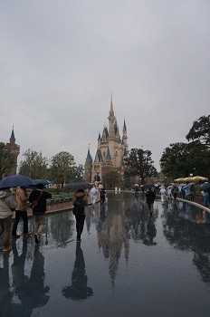DSC02714 - コピー