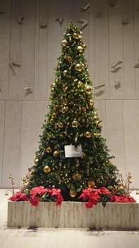 DSC_0159 - コピー
