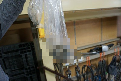 BlogPaint