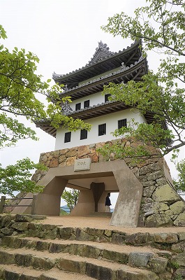 DSC02394 (2)