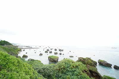 DSC01069 - コピー