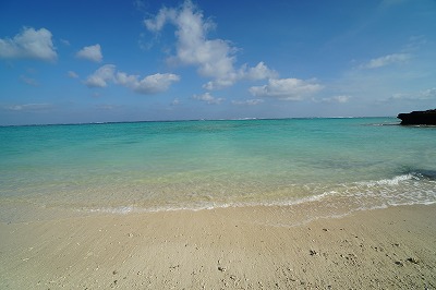 DSC07666