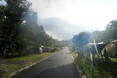 DSC06310