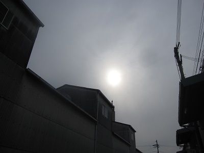dc121065.jpg