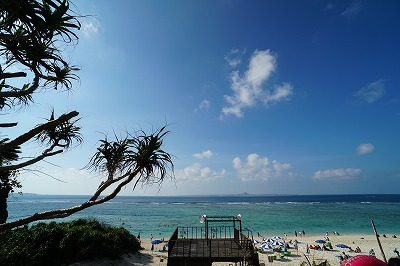 DSC08151