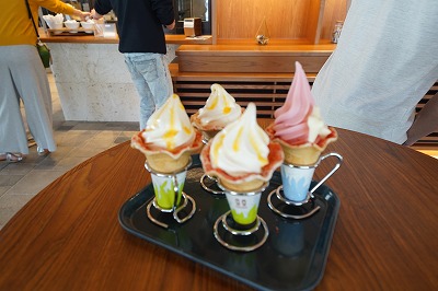 DSC01546 - コピー