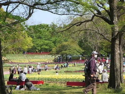 IMG_0357 - コピー