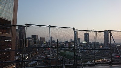 DSC_0066 - コピー