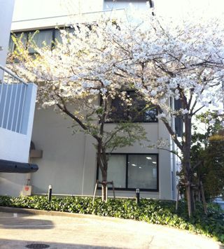 20110415_000514_2