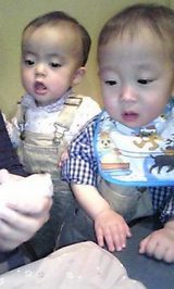 10857a20.jpg