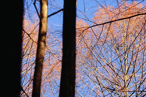 4m �᥿�������� DSC_5297-2-c