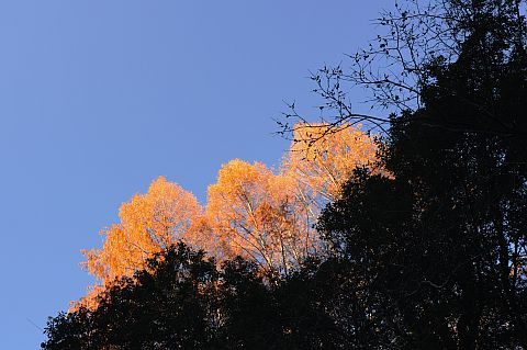 3m �᥿��������DSC_3607-2