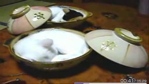 gotube (5)