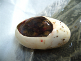467275b6.jpg