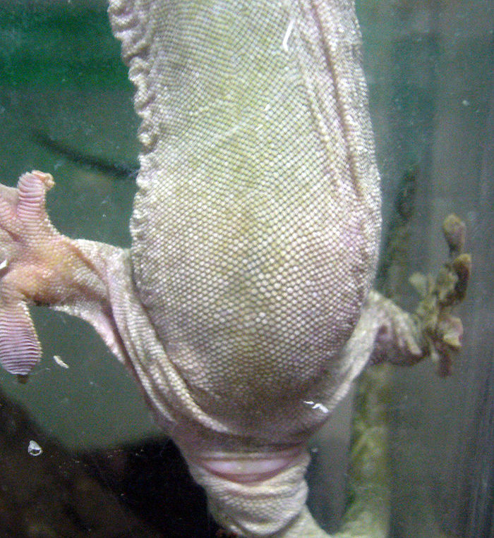 P1020774