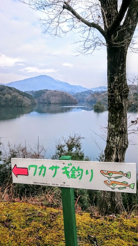 1485561114321