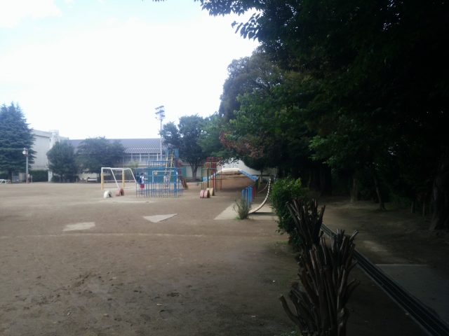 093e7709.jpg