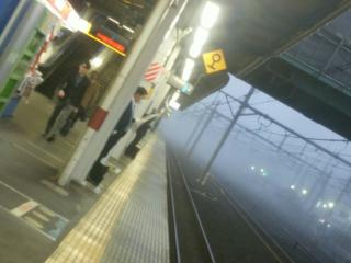 e7942499.jpg