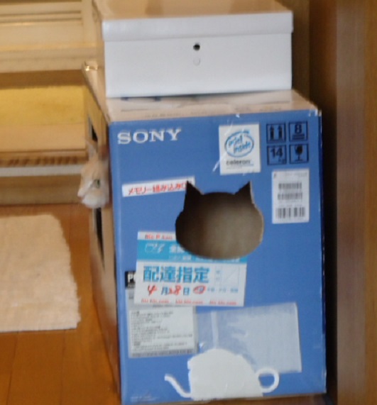 くる02