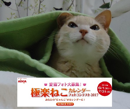 投票用