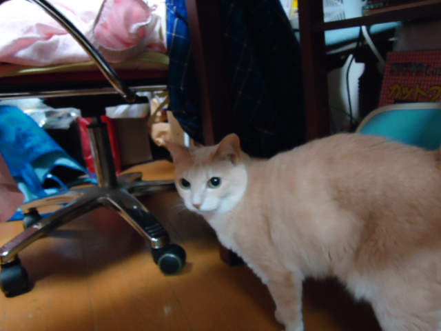 妖怪01