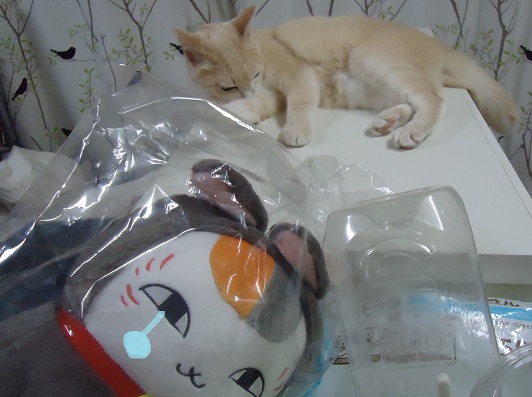 うんうん14