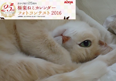 かれ2016-07