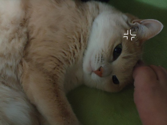 拡大9