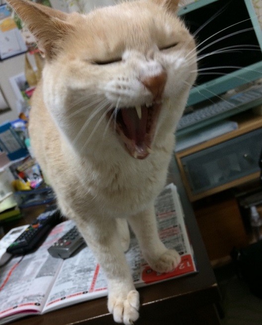 みそか04