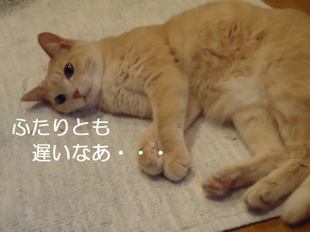 ホーム1
