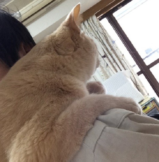 どっと03