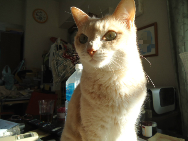 BlogPaint