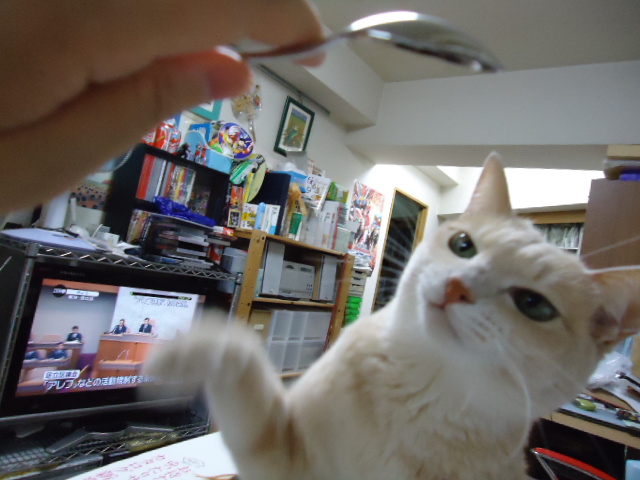 スプーン3