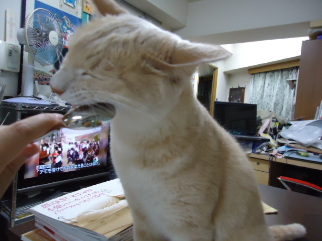 スプーン2