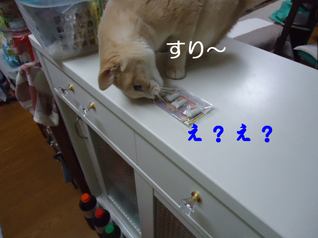 せんとくん4
