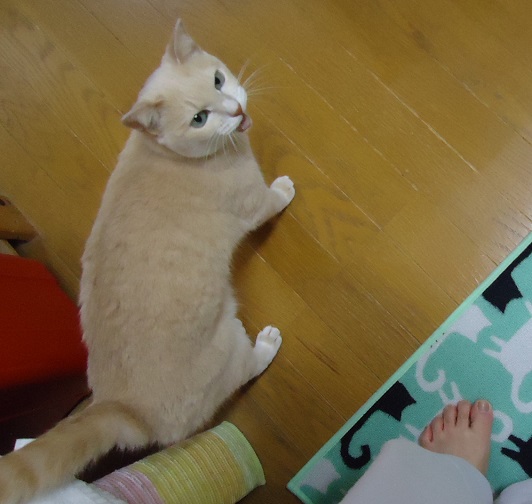 おおみそ03