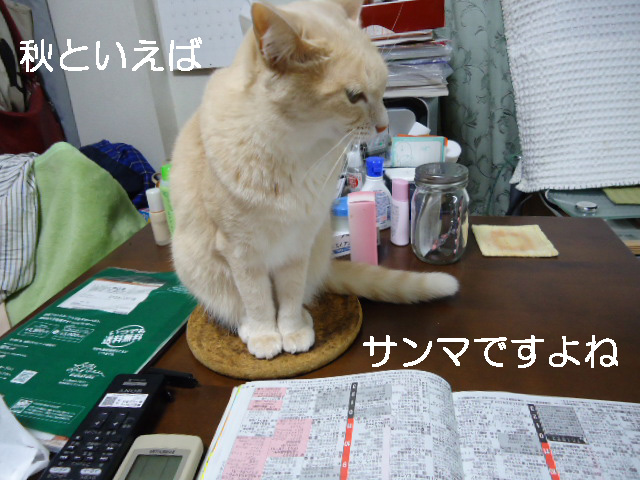 ナベ6