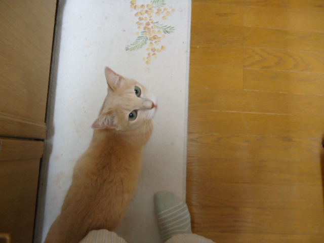 見上げ6